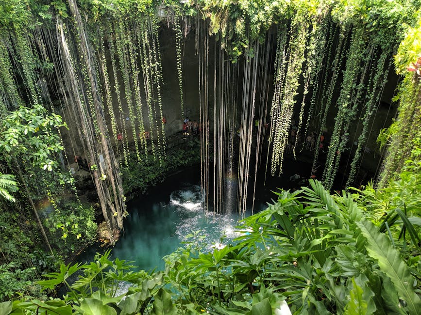 Beautiful view of Cenote Ik Kil surrounded by lush greenery in Yucatan, Mexico.